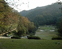 �������S���t�R�[�X