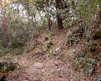 �����R�ւ̕���