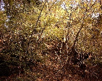 �����̓�