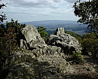 �R���E�쑤�̘I��